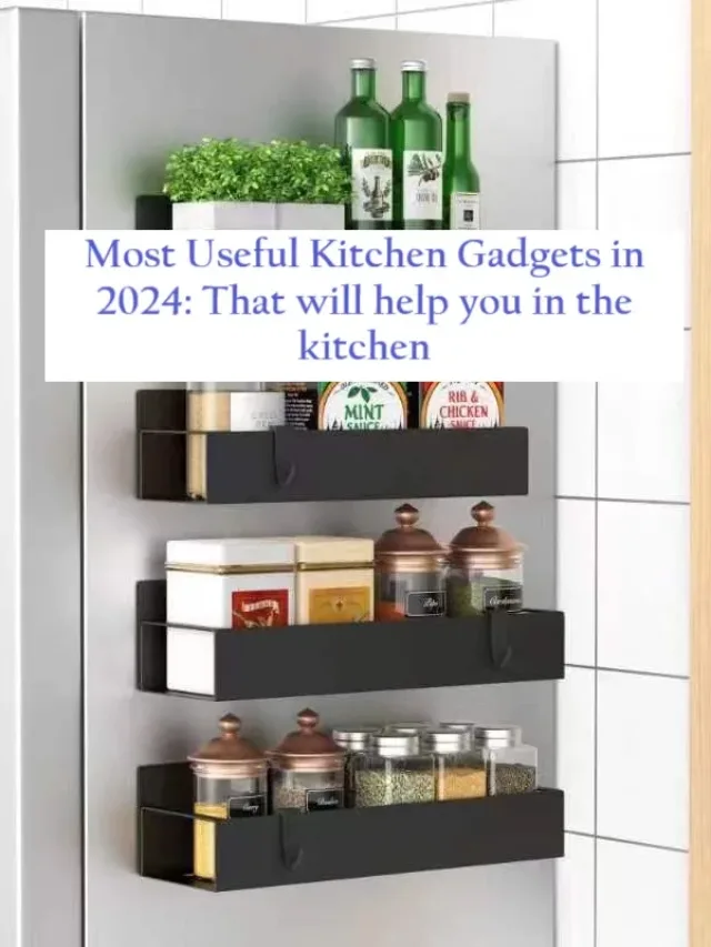 Most useful kitchen gadgets in 2024: That will help you in Kitchen